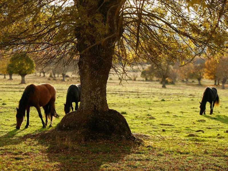Villabamba Valdeavellano de Tera Exteriér fotografie
