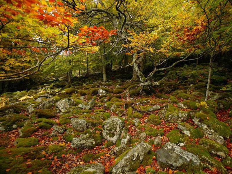 Villabamba Valdeavellano de Tera Exteriér fotografie