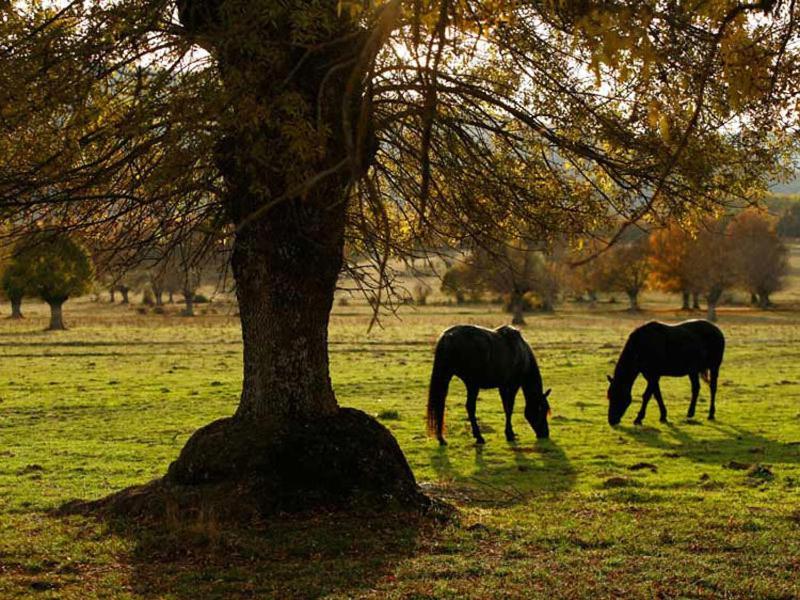 Villabamba Valdeavellano de Tera Exteriér fotografie